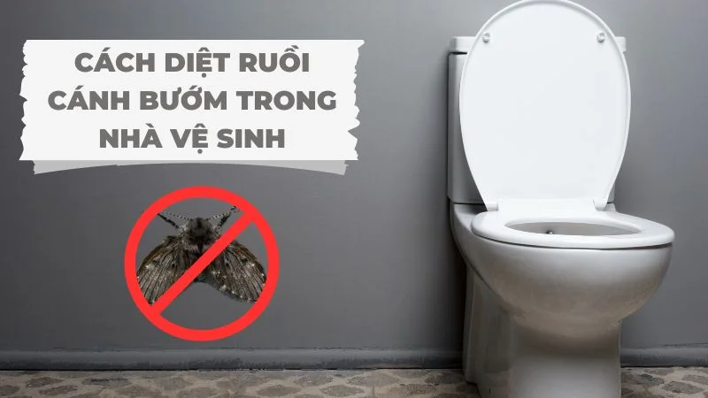 Cách Diệt Ruồi Trong Nhà Vệ Sinh Tận Gố